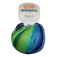 Load image into Gallery viewer, Adriafil | DK weight | Knitcol | 100% SW Merino | 125m | 50g