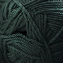 Load image into Gallery viewer, Cascade | Worsted | 220 superwash Merino | 100% Merino | 100g | 200m