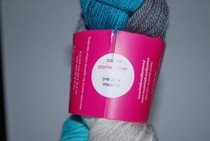 Sweet Georgia | stormchaser | Fingering weight | Tough Love Sock | 80% SW merino wool, 20% nylon | 425 yards | 115 grams