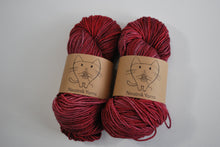 Load image into Gallery viewer, Neatnik Yarn | Worsted weight | 100% superwash merino wool | 115 grams | 210 yards