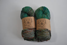 Load image into Gallery viewer, Neatnik Yarn | Worsted weight | 100% superwash merino wool | 115 grams | 210 yards