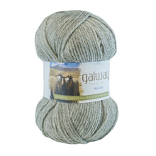 Load image into Gallery viewer, Galway | Worsted | 100% Wool | 200 yards | 100 grams