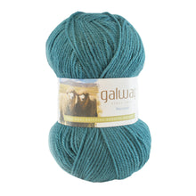 Load image into Gallery viewer, Galway | Worsted | 100% Wool | 200 yards | 100 grams