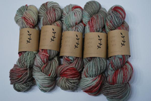 Load image into Gallery viewer, Lichen and Lace | huckleberry | Bulky weight | 80% Merino 20% Nylon | 76 yards | 100 grams