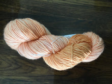 Load image into Gallery viewer, Mineville | DK weight | Merino Single Ply DK | 100% SW Merino | 200 yards | 100 grams