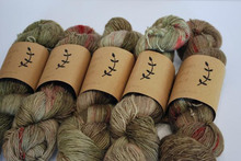 Load image into Gallery viewer, Lichen and Lace  | Fingering weight | 100% Superwash Merino | 400 yards | 100 grams