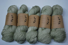 Load image into Gallery viewer, Lichen and Lace | Worsted weight | 100% Superwash Merino | 200 yards | 115 grams