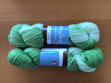 Load image into Gallery viewer, Gathering yarn | Fingering | Velino | 75% SW Fine Merino 25% Nylon | 420m | 100g