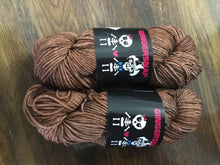 Load image into Gallery viewer, Gingersnap | Worsted | 100% Superwash Merino | 218 yds (115g)